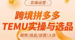 伍跃·跨境拼多多TEMU实操与选品,趋势/选品/运营/入住(27节完整)-第一资源网