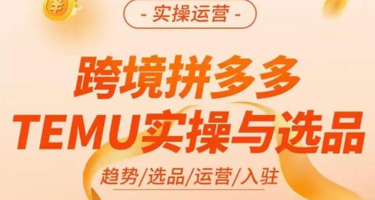 伍跃·跨境拼多多TEMU实操与选品，​趋势/选品/运营/入住（27节完整）-第一资源网