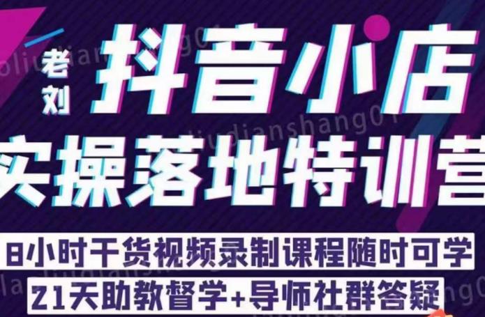 老刘·抖店商品卡流量，​抖音小店实操落地特训营，8小时干货视频录制课程随时可学-第一资源网