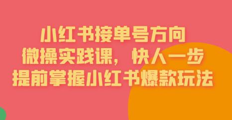 接单号方向·小红书微操实践课，快人一步，提前掌握小红书爆款玩法-第一资源网