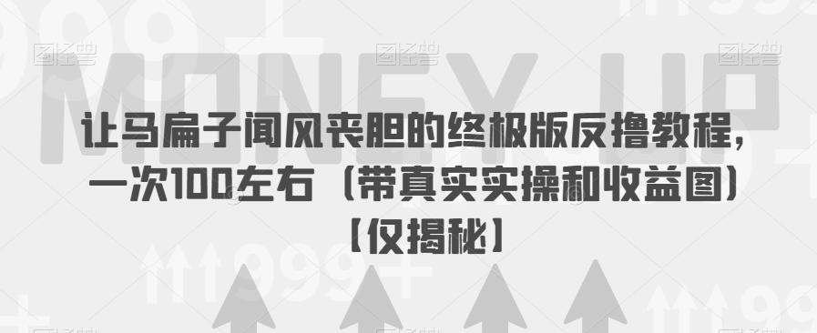 让马扁子闻风丧胆的终极版反撸教程，一次100左右（带真实实操和收益图）【仅揭秘】-第一资源网