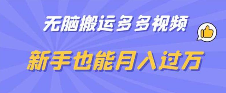 无脑搬运多多视频，新手也能月入过万【揭秘】-第一资源网