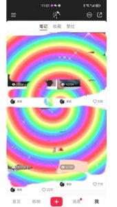 冷门高利润项目,小红书带货,无脑搬运,一部手机实现日入500+【揭秘】-第一资源网