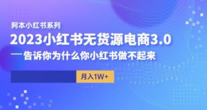 阿本小红书无货源电商3.0，告诉你为什么你小红书做不起来-第一资源网