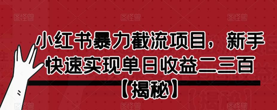 小红书暴力截流项目，新手快速实现单日收益二三百【仅揭秘】-第一资源网