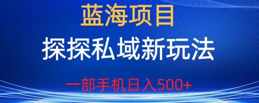 蓝海项目，探探私域新玩法，一部手机日入500+很轻松【揭秘】-第一资源网