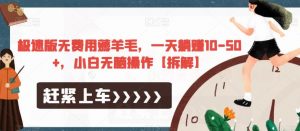 极速版无费用薅羊毛，一天躺赚10-50+，小白无脑操作【拆解】-第一资源网