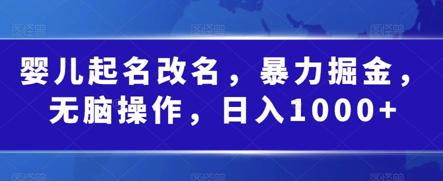 婴儿起名改名，暴力掘金，无脑操作，日入1000+【揭秘】-第一资源网