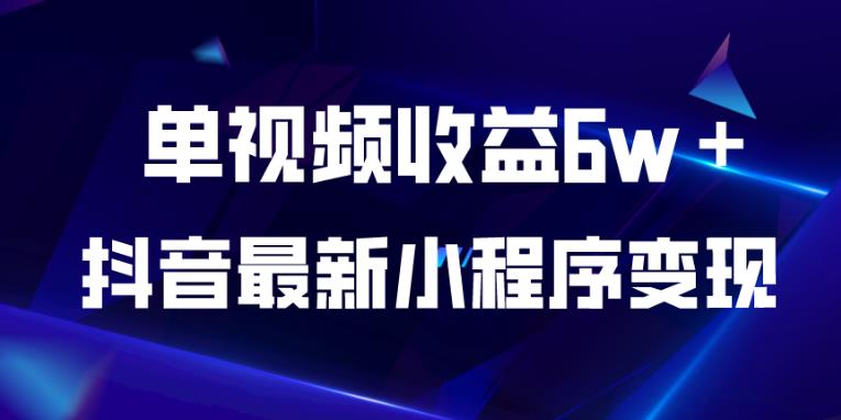 抖音最新小程序变现项目，单视频收益6w＋，小白可做【揭秘】-第一资源网