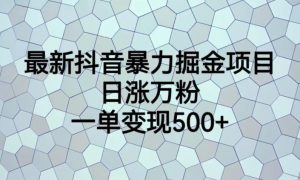 最新抖音暴力掘金项目，日涨万粉，一单变现500+【揭秘】-第一资源网