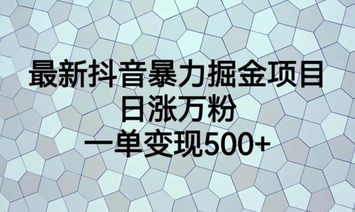最新抖音暴力掘金项目，日涨万粉，一单变现500+【揭秘】-第一资源网