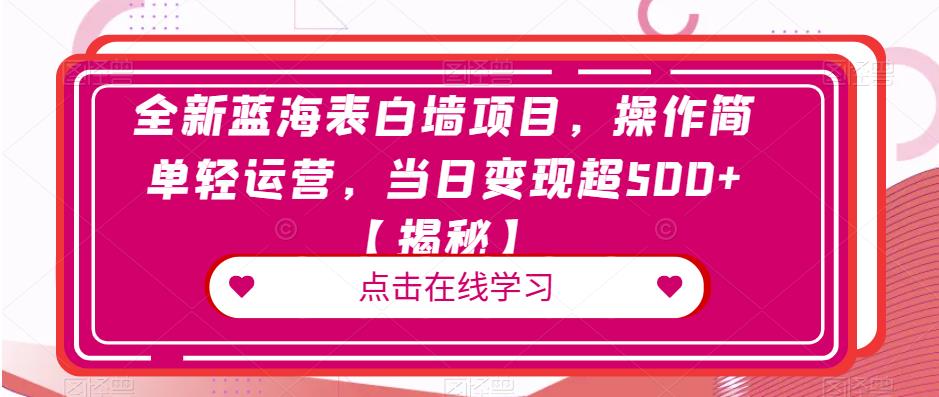 全新蓝海表白墙项目，操作简单轻运营，当日变现超500+【揭秘】-第一资源网