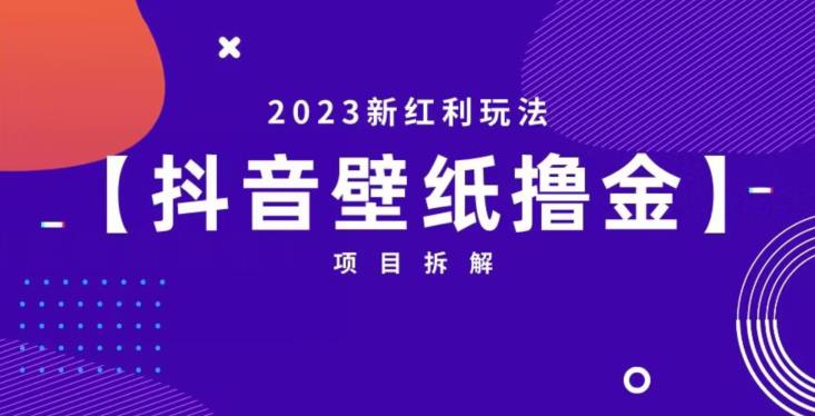 抖音壁纸小程序创作者撸金项目，2023新红利玩法【项目拆解】-第一资源网