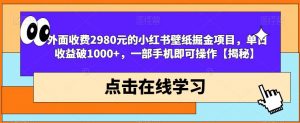 外面收费2980元的小红书壁纸掘金项目，单日收益破1000+，一部手机即可操作【揭秘】-第一资源网