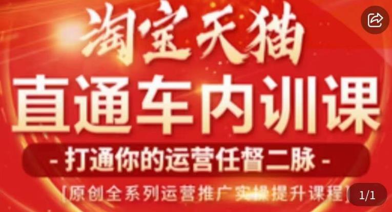 天问电商·2023淘宝天猫直通车内训课，零基础学起直通车运营实操课程-第一资源网