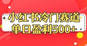 小红书冷门赛道，单日盈利500+【揭秘】-第一资源网