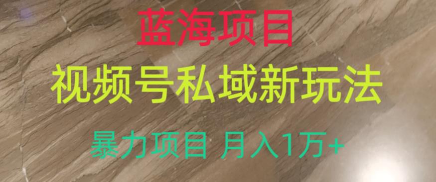 蓝海项目，视频号私域新玩法，暴力项目月入1万+【揭秘】-第一资源网