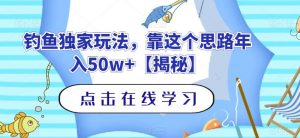 钓鱼独家玩法,靠这个思路年入50w+【揭秘】-第一资源网