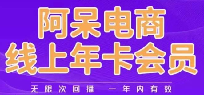 阿呆电商线上年会员，阿呆电商干货分享（更新中）-第一资源网