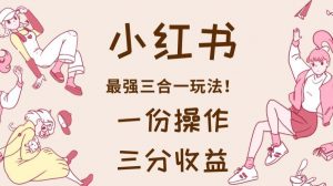 小红书最强三合一玩法,一份操作获得三份收益!【揭秘】-第一资源网