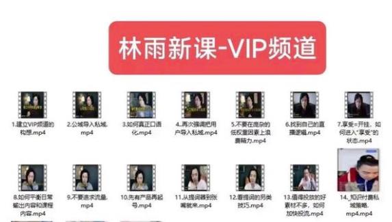 林雨新课VIP频道，玩赚私域/朋友圈/社群-第一资源网