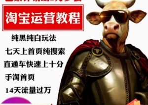 猫老师·淘系算法逆向解密,纯黑纯白玩法,七天上首页纯搜索,手淘首页14天流量过万-第一资源网