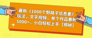 最新《1000个野路子信息差》玩法，文字视频，单个作品暴粉5000+，小白轻松上手【揭秘】-第一资源网