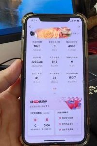 超级蓝海赛道保姆级教学,小红书无货源,无需实拍,如何做到日入1000+【揭秘】-第一资源网