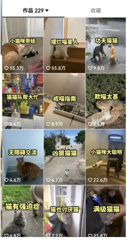 拆解：抖音盘点类中视频变现副业项目，视频版一条龙大解析分享给你-第一资源网