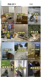 拆解抖音盘点类中视频变现副业项目,视频版一条龙大解析分享给你【视频课程】-第一资源网