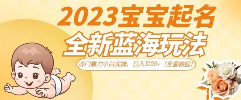 2023宝宝起名全新蓝海玩法，冷门暴力小白实操，日入1000+（全套教程）【揭秘】-第一资源网