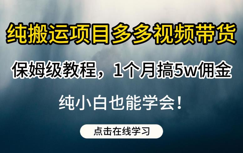纯搬运项目多多视频带货保姆级教程，1个月搞5w佣金，纯小白也能学会【揭秘】-第一资源网