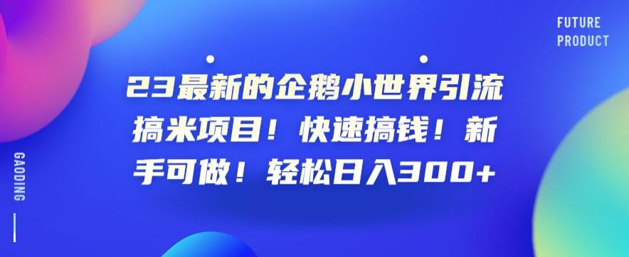 23最新的企鹅小世界引流搞米项目！快速搞钱！新手可做！轻松日入300+【揭秘】-第一资源网