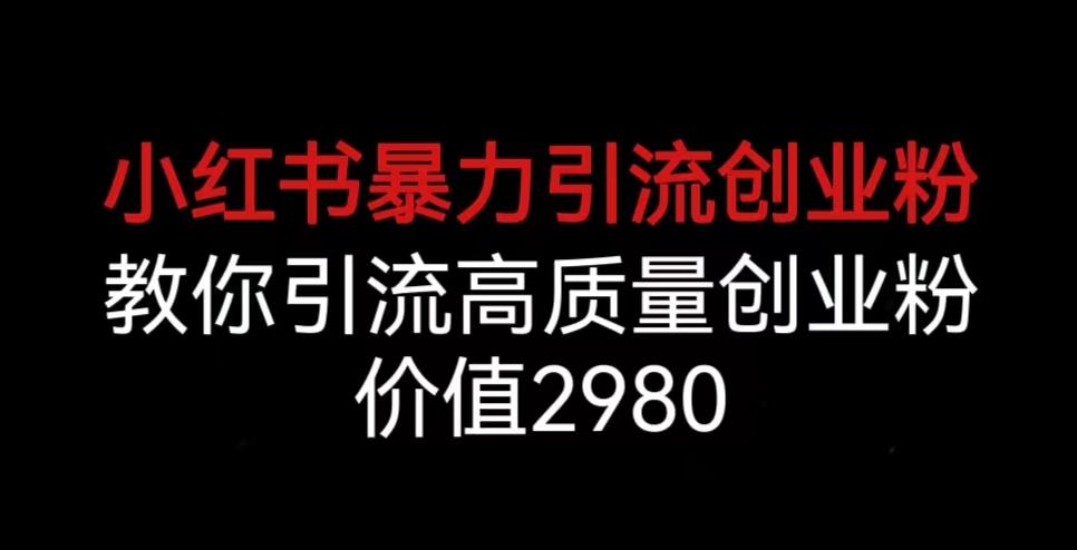 小红书暴力引流创业粉，教你引流高质量创业粉，价值2980【揭秘】-第一资源网