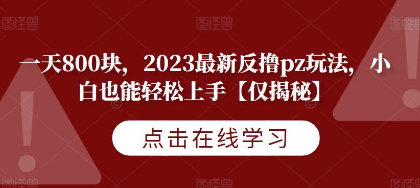 一天800块，2023最新反撸pz玩法，小白也能轻松上手【仅揭秘】-第一资源网