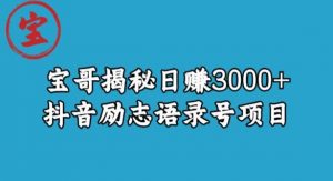 宝哥揭秘日赚3000+抖音励志语录号短视频变现项目-第一资源网