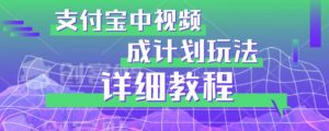 避坑玩法:支付宝中视频分成计划玩法实操详解【揭秘】-第一资源网