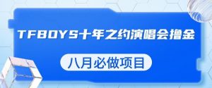 最新蓝海项目，靠最近非常火的TFBOYS十年之约演唱会流量掘金，八月必做的项目【揭秘】-第一资源网