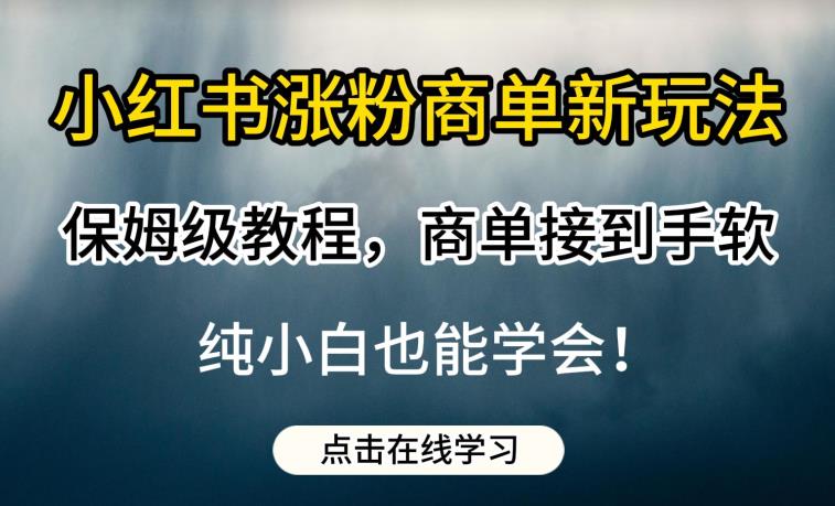 小红书涨粉商单新玩法，保姆级教程，商单接到手软，纯小白也能学会【揭秘】-第一资源网