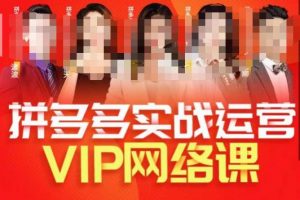 推易拼多多VIP全套直播课程，拼多多店铺实操玩法+实战玩法选款内功+直通车高阶等-第一资源网