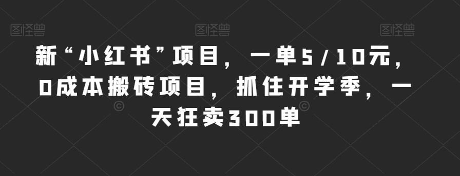 新“小红书”项目，一单5/10元，0成本搬砖项目，抓住开学季，一天狂卖300单【揭秘】-第一资源网