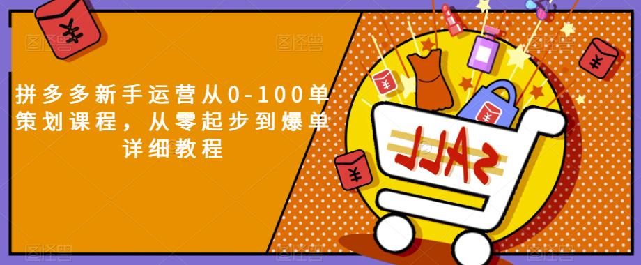 拼多多新手运营从0-100单策划课程，从零起步到爆单详细教程-第一资源网