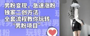 男粉变现，急速涨粉独家二创方法，全套流程教你玩转“男粉项目”【揭秘】-第一资源网
