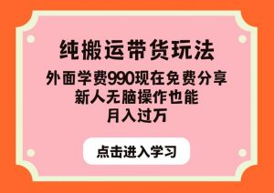 纯搬运带货玩法，外面学费990现在免费分享，新人无脑操作也能月入过万【揭秘】-第一资源网