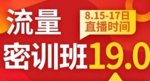 秋秋线上流量密训班19.0，打通流量关卡，线上也能实战流量破局-第一资源网