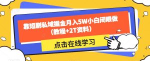 靠短剧私域掘金月入5W小白闭眼做（教程+2T资料）-第一资源网
