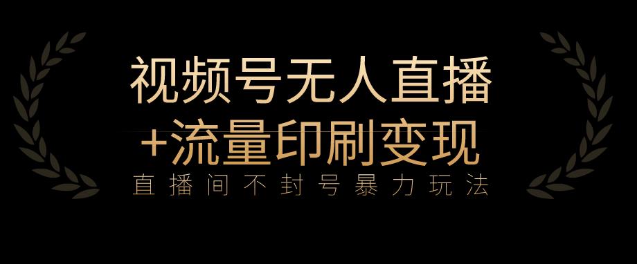 全网首发视频号不封号无人直播暴利玩法+流量印刷机变现，日入1000+【揭秘】-第一资源网