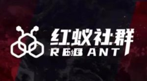 社群运营：红蚁社群【48节落地系统课程+2000人高端社群】-第一资源网