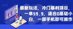 最新玩法，冷门暴利项目，一单59.9，适合0基础小白，一部手机即可操作【揭秘】-第一资源网