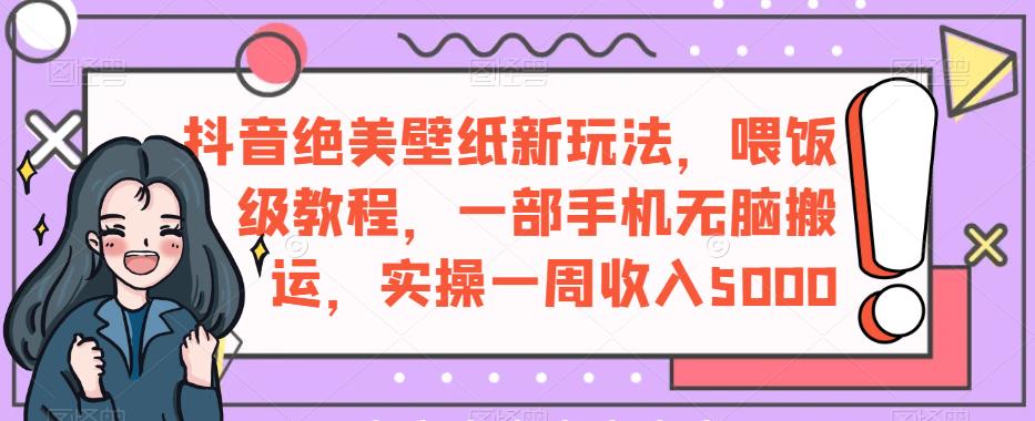 抖音绝美壁纸新玩法，喂饭级教程，一部手机无脑搬运，实操一周收入5000【揭秘】-第一资源网